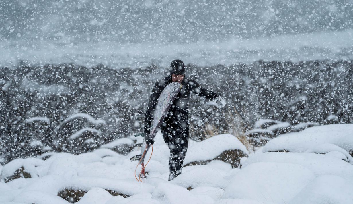 Seorang peselancar berjalan menerobos derasnya hujan salju di Lofoten Islands, Norwegia, (11/3/2018). Suhu udara minus 13°C dan suhu diatas air sekitar 4°C. (AFP/Oliver Morin)