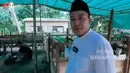 Dibantu dengan beberapa orang yang kerja, Azis tampak telaten mengurus hewan ternaknya. Selain ada sapi Bali, juga menjual sapi Jawa. [Youtube/Gagap Official]