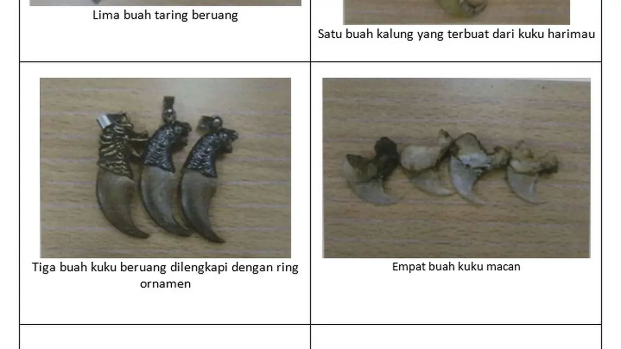 Pedagang Sate Ketahuan Jual Tas Macan hingga Kuku Beruang