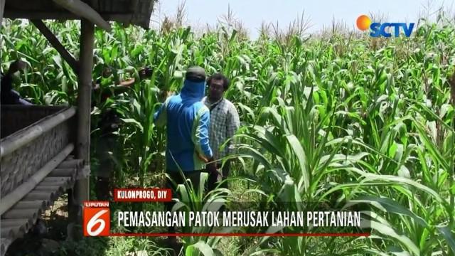 Warga Kulonprogo, Yogyakarta, demo pemasangan pathok tambang pasir karena dinilai merusak lahan tani.