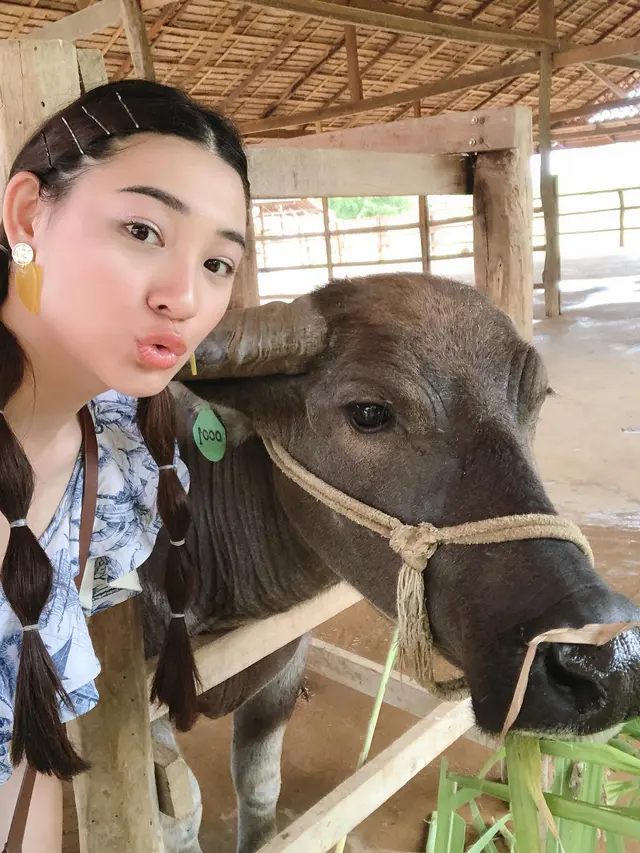 7 Potret Liburan Patricia Devina ke Laos, Enggak Takut Mandikan Kerbau