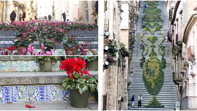 (c) flickr.com, odditycentral.com