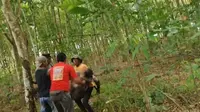 Kronologi Kades Braja Asri Tewas saat Menghalau Gajah Liar di Lampung Timur