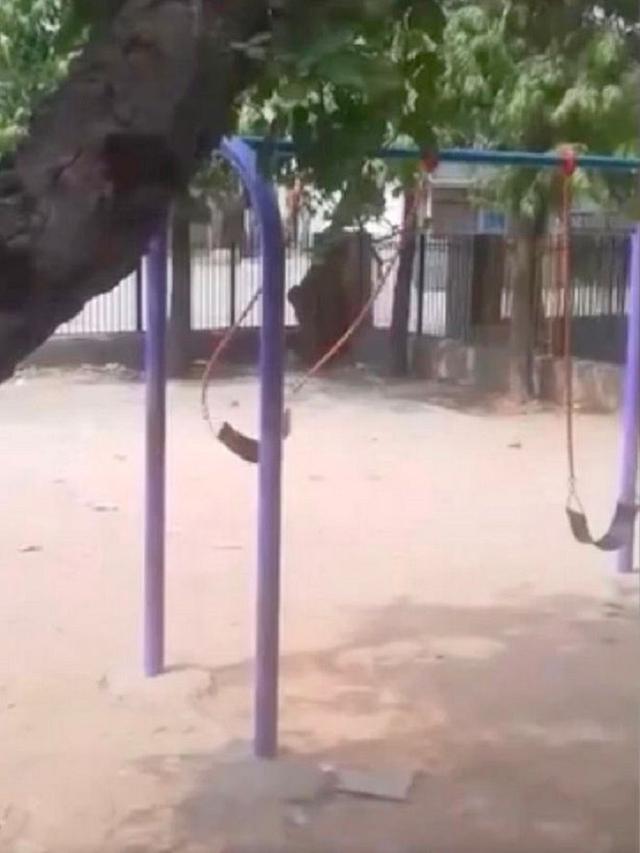 Ayunan ini berayun sendiri dengan keras, ulah hantu? (mirror/YOUTUBE Manoranjan Bhadauria))