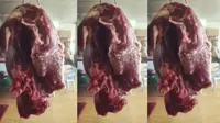 Lihat, Daging yang Dijual Ini Masih Berdenyut