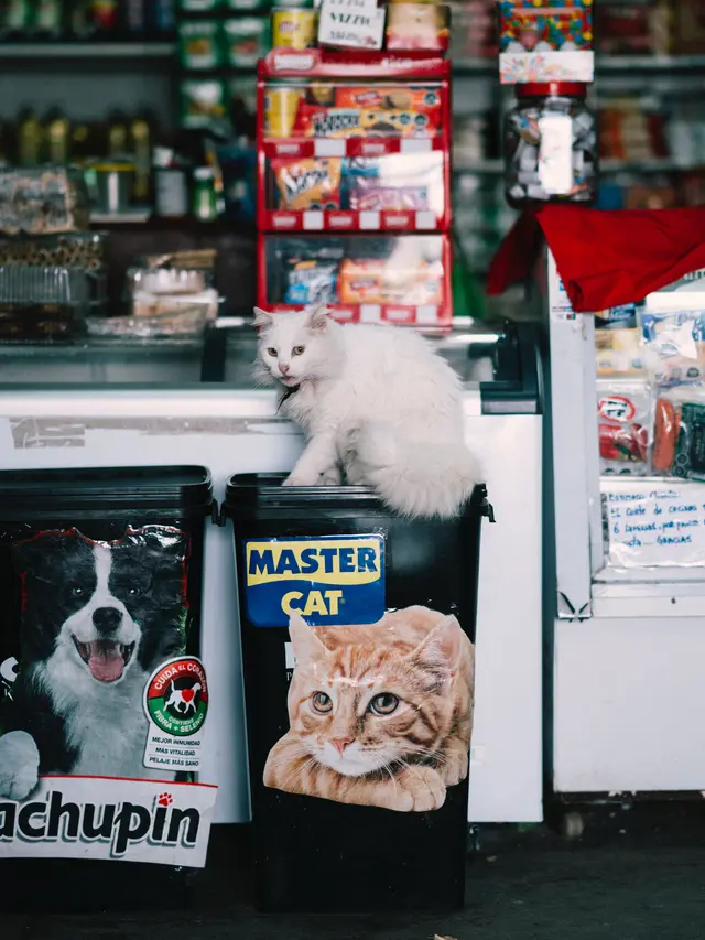 Pet Shop (Photo by Random Institute on Unsplash)