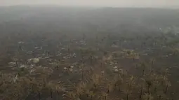 Pemerintah setempat mengumumkan status darurat nasional untuk mengatasi kebakaran hutan ini. (AP Photo/Juan Karita)