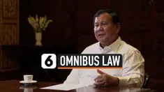 THUMBNAIL OMNIBUS LAW