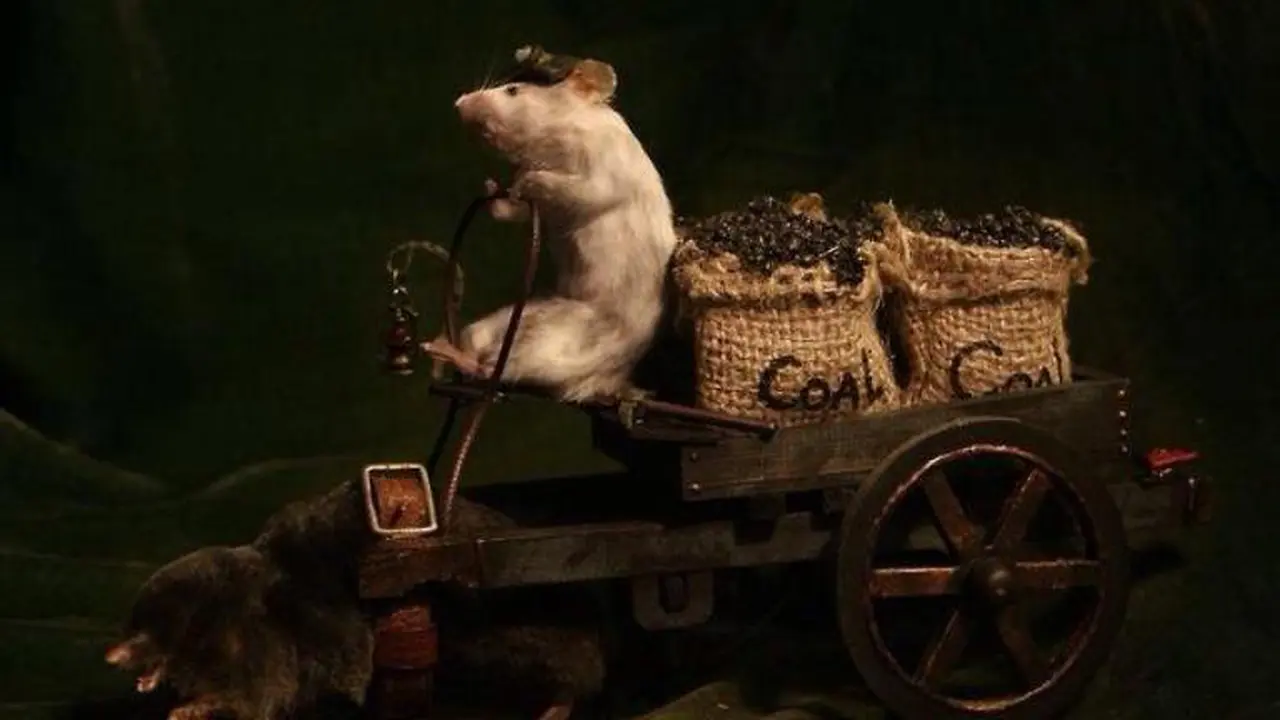 Taxidermy, Seni Menyumpal Hewan Mati yang Kembali Populer