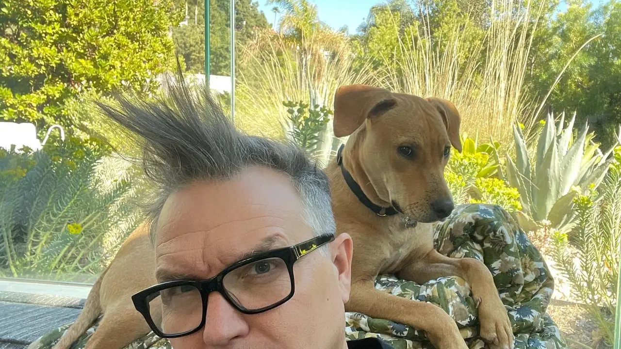 Mark Hoppus Blink 182. (Twitter/ markhoppus)