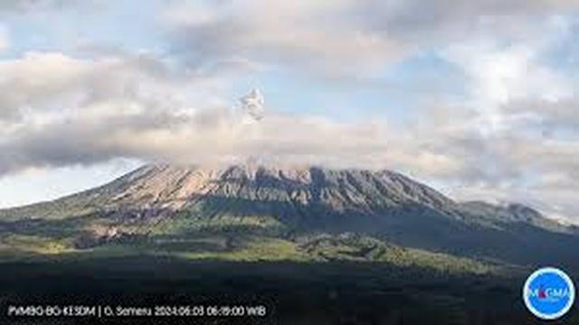 Gunung Semeru erupsi dengan tinggi letusan capai 800 meter (Istimewa)