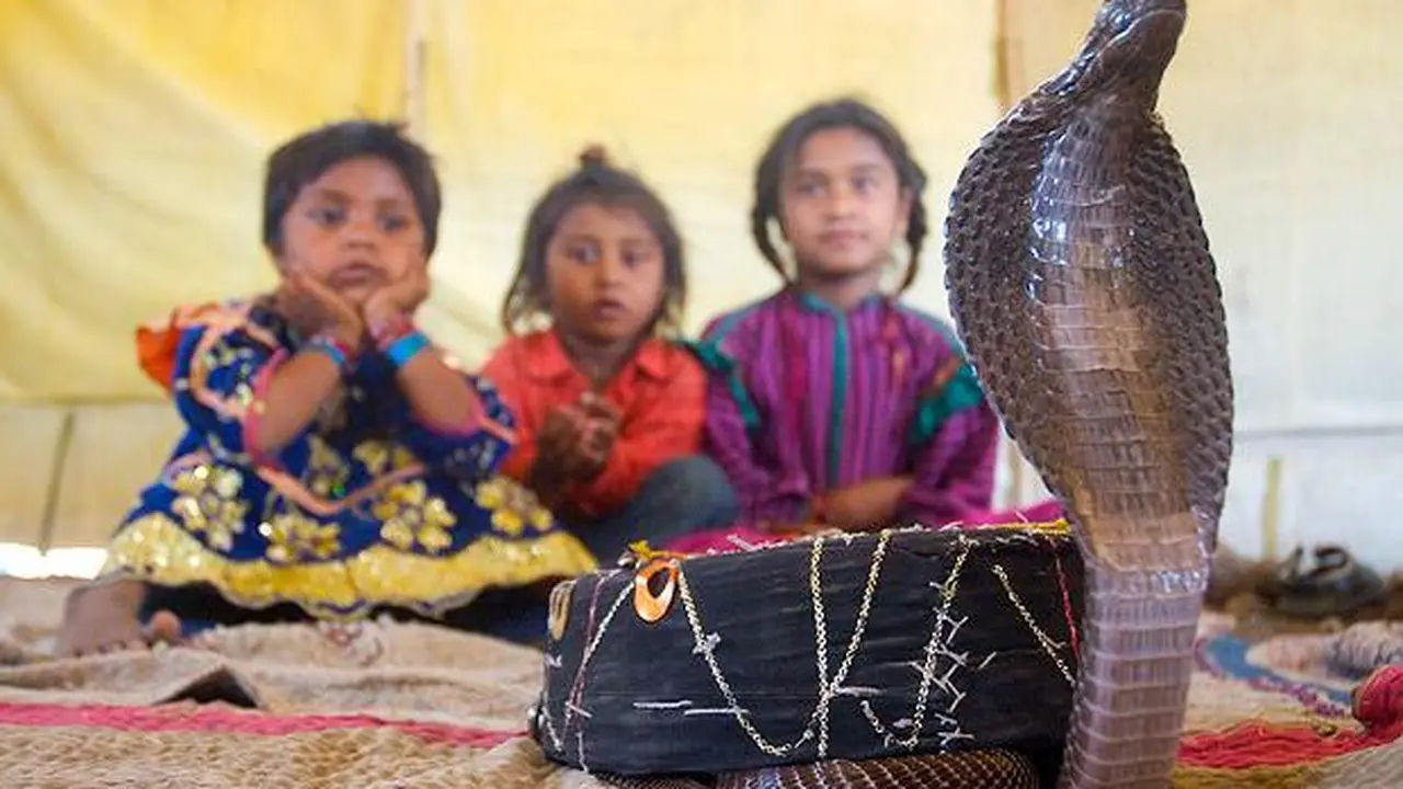 Suku Vadi India