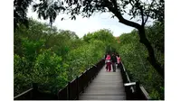 Hutan Mangrove Gunung Anyar (Sumber: surabaya.go.id)