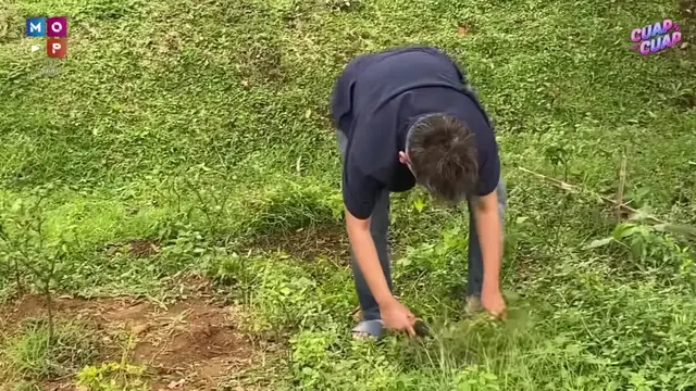 Ruben Onsu Panen Cabai Segar, Kini Mulai Jajal Berkebun