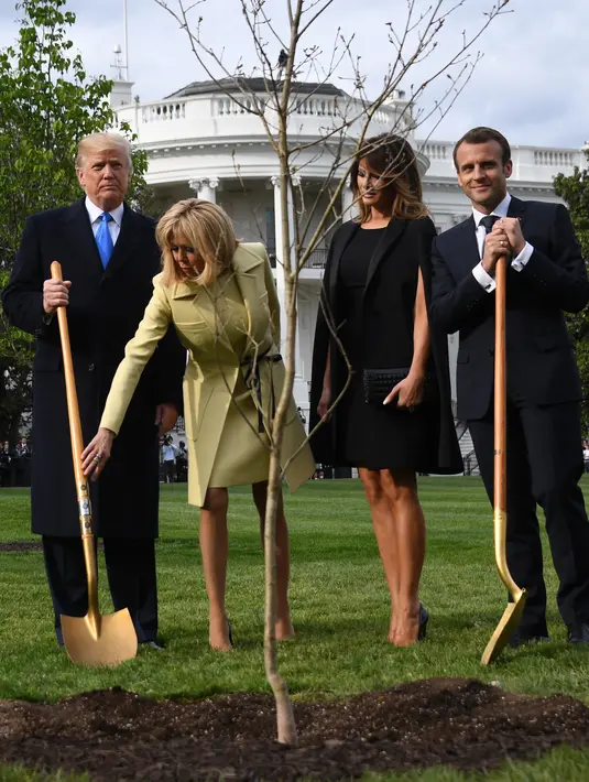Presiden AS Donald Trump didampingi istrinya Melania Trump melakukan upacara penanaman pohon saat menyambut Presiden Prancis Emmanuel Macron bersama istrinya Brigitte Macron di South Lawn Gedung Putih, Washington (23/4). (AFP Photo / Jim Watson)