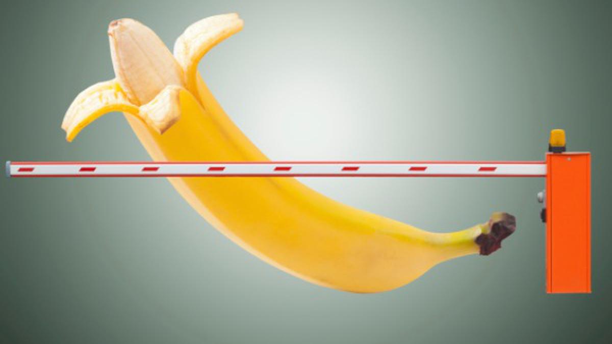 8 Bentuk Kelamin Pria yang Berbeda-beda - Health Liputan6.com