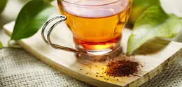 Ilustrasi rooibos tea. (c) livfriis/Depositphotos.com