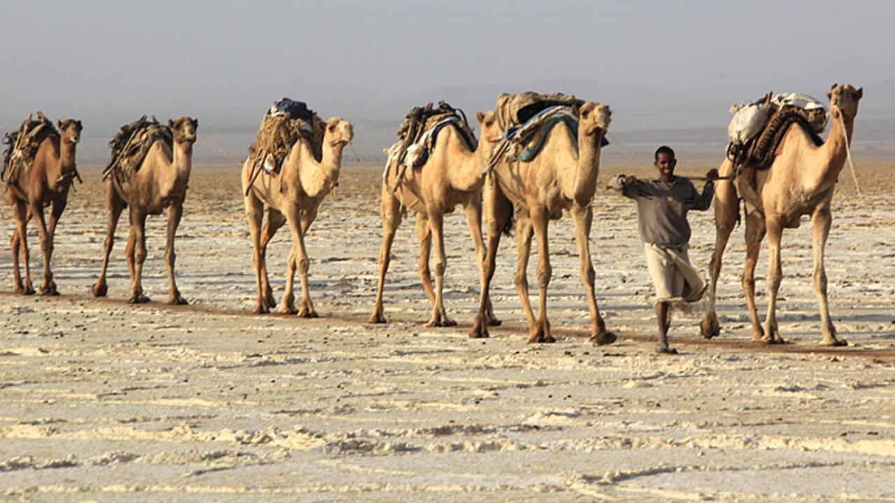 5 Negara dengan Suhu Tertinggi di Dunia, Tertarik Tinggal Disini?