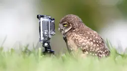 Mau selfie, tapi bagaimana cara pencetnya yah?(boredpanda.com)