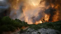Diketahui, kebakaran hutan di Prancis telah menewaskan satu orang dan melukai sembilan lainnya serta menghanguskan 11.000 hektar lahan. (Lionel BONAVENTURE/AFP)