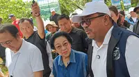 Megawati dan Pramono-Rano Tanam 7.500 Mangrove di Hutan Lindung Kapuk