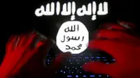 ISIS Ancam Pangkalan Militer AS di Korsel, Ilustrasi Hacker ISIS (Reuters)