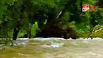 Sekitar 16 orang dikabarkan tewas akibat banjir bandang yang menghantam sebuah kawasan perkemahan di taman nasional Negara Bagian Arkansas, AS. 