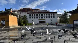 Lapangan Istana Potala di Lhasa, ibu kota Daerah Otonomi Tibet, China barat daya (3/6/2020). Istana berusia 1.300 tahun itu ditutup sejak 27 Januari akibat merebaknya coronavirus baru. (Xinhua/Chogo)