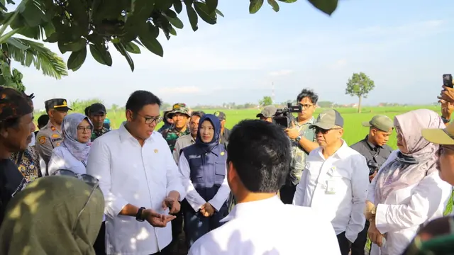 Wakil Menteri Pertanian (Wamentan) Sudaryono