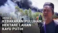 Kebakaran Puluhan Hektare Lahan Kayu Putih