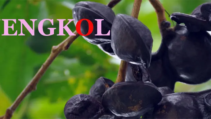 (C) pleisbilongtumi.wordpress.com