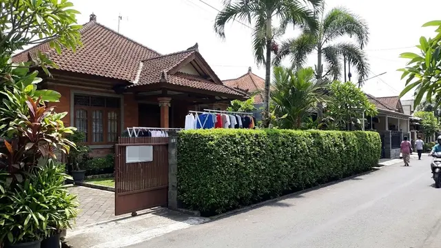 Tanaman di Sepanjang Pagar Rumah yang Bikin Area Depan Lebih Hijau dan Rapi