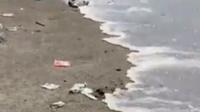 Susi Pudjiastuti bagikan video Pantai Pangandaran penuh sampah di libur Lebaran 2022. (dok. tangkapan layar video Twitter @susipudjiastuti/https://twitter.com/susipudjiastuti/status/1521823874467254272)