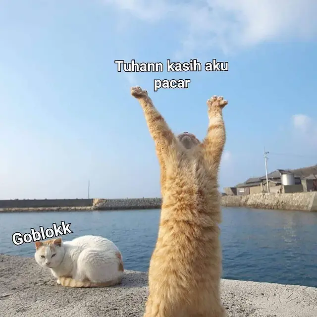 6 Meme Netizen saat Lihat Momen Pasangan Kekasih di Medsos Ini Bikin Ngakak
