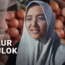 Harga Telur Makin Anjlok