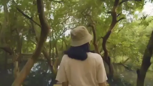 171 Ribu Hektare Kawasan Mangrove Indonesia dalam Kondisi Memprihatinkan