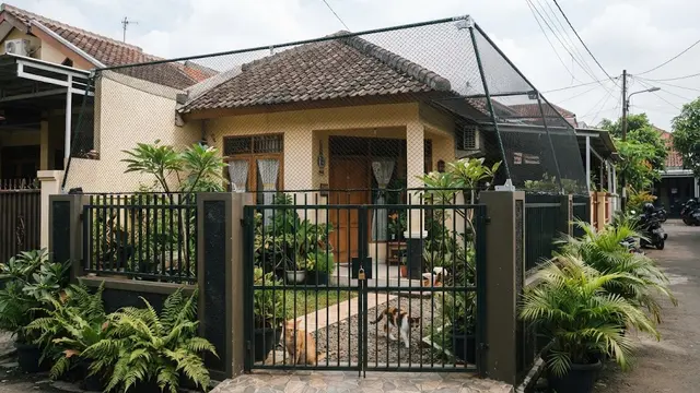 9 Desain Pagar Pekarangan yang Aman untuk Kucing agar Tidak Mudah Keluar