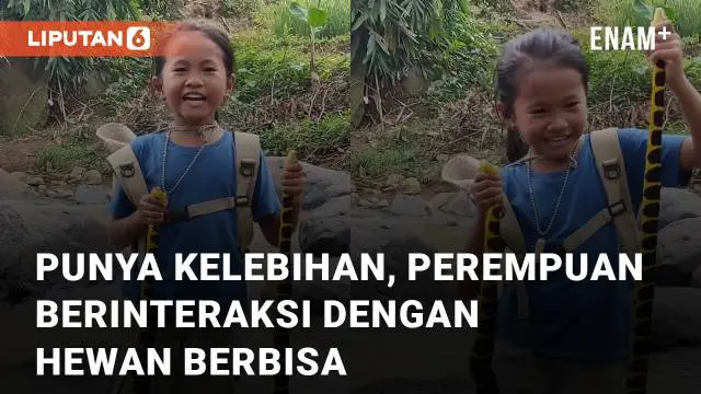 Aksi bocah perempuan bernama Tasyha mengundang perhatian netizen karena keberaniannya berinteraksi dengan hewan berbisa