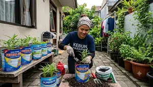 Cara Menanam Kangkung di Toples Bekas Susu Bubuk, Hemat dan Ramah Lingkungan