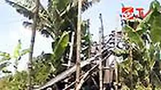 liputan6
