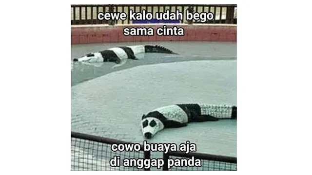 6 Meme Pakai Gambar Hewan Ini Kocak, Bikin Tepuk Jidat