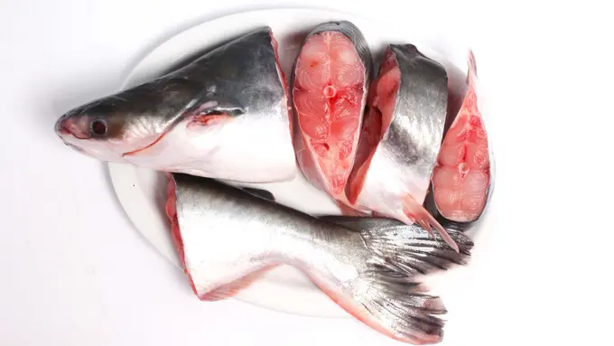 Trik Mudah Menghilangkan Bau Amis pada Ikan Patin, Wajib Dicoba di Rumah