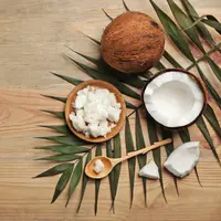 ilustrasi tips membuat nata de coco anti gagal dan praktis/New Africa/shutterstock