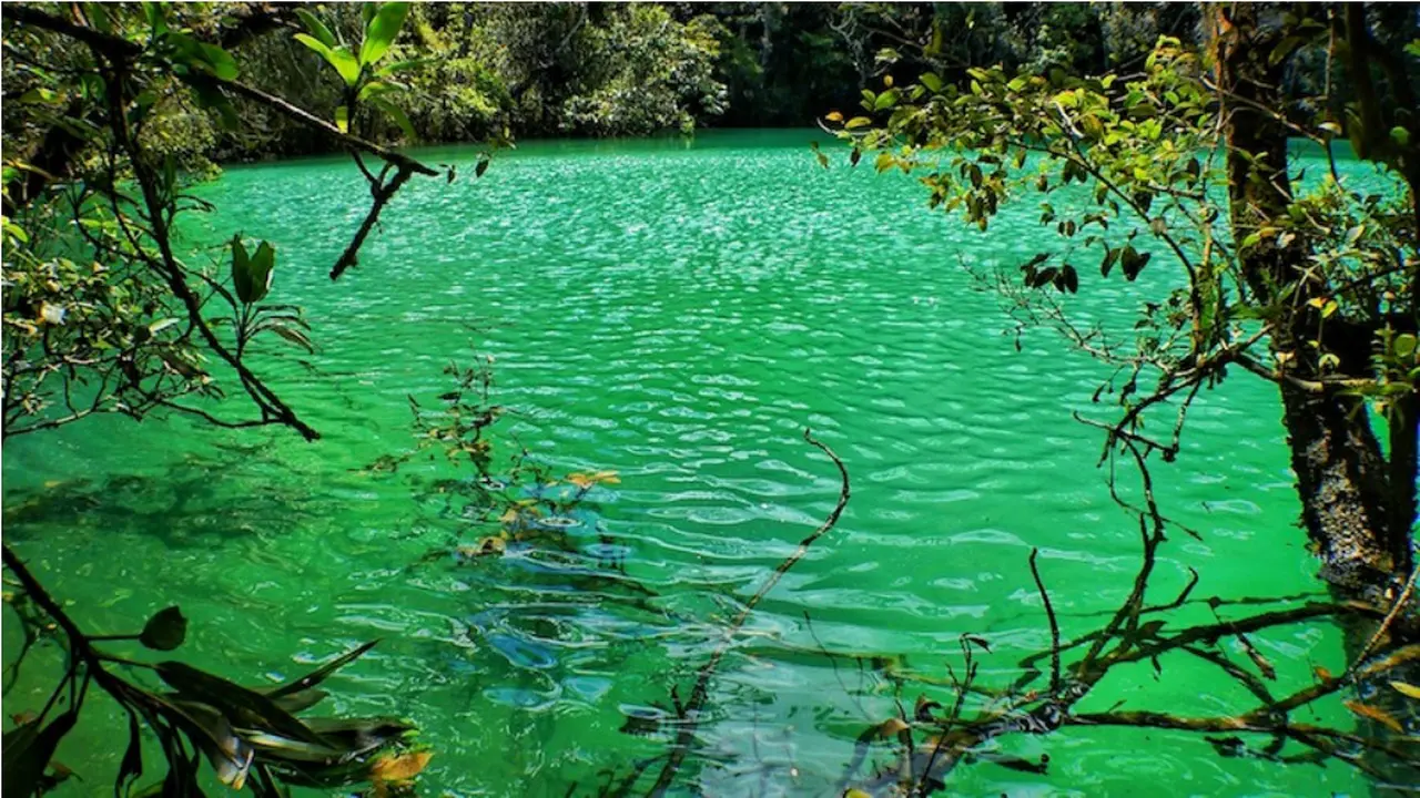 Selain Raja Ampat, Keajaiban Lain Masih Ada di Bumi Papua