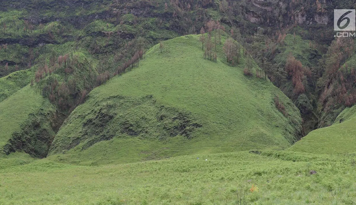Pemandangan di kaki Gunung Bromo, Jawa Timur, Senin (27/11). Berkat dana desa, sebanyak 500 keluarga di Desa Ngadas dan Desa Jetak kini telah mendapatkan akses air bersih. (Liputan6.com/Immanuel Antonius)