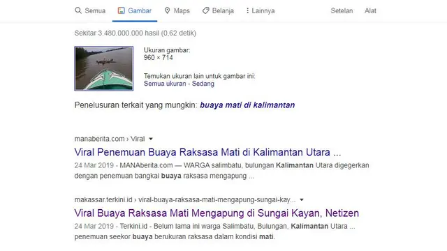 Gambar Tangkapan Layar Google Images
