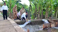 Presiden Joko Widodo atau Jokowi meninjau pelaksanaan pemberian bantuan pompa air untuk pengairan sawah dan pertanian atau pompanisasi di Provinsi Jawa Tengah, Rabu (19/6/2024). (Biro Pers Kepresidenan).