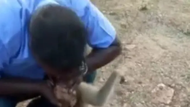 Aksi Heroik Pria Selamatkan Monyet