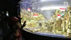 Seorang anak mengamati ikan di akuarium SeaWorld Ancol, Jakarta, Jumat (17/8). Seaworld menjadi tempat wisata alternatif warga saat libur panjang akhir pekan ini yang bertepatan dengan HUT ke-73 Republik Indonesia. (Liputan6.com/Faizal Fanani)