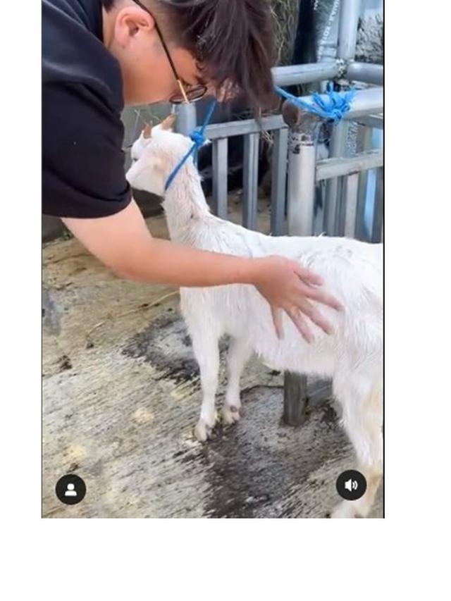 Lama Vakum dari Layar Kaca, Ini 7 Potret Baim Alkatiri yang Pilih Jadi Juragan Kambing